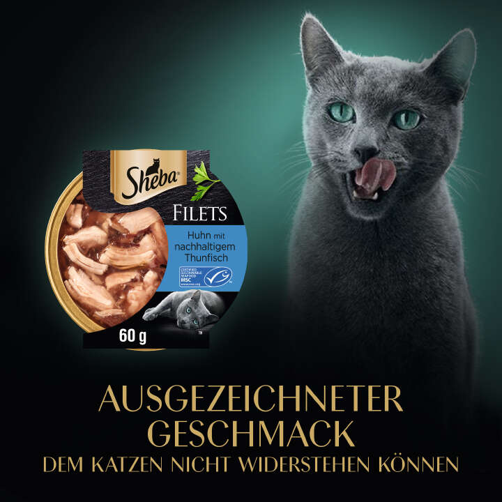 Sheba Katzen-Nassfutter Schale Filets Huhn mit nachhaltigem Thunfisch